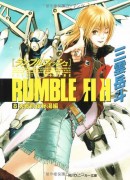 Couverture japonaise du roman Rumble Fish T.8