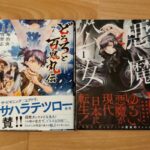 Dororo and Hyakkimaru T.7 et The Devil Princess T.1 (journal du 20/01/2023)