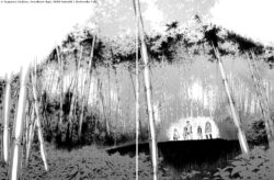 La forêt de bambous d'acier