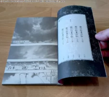 Aperçu du tome 12 de Dororo and Hyakkimaru