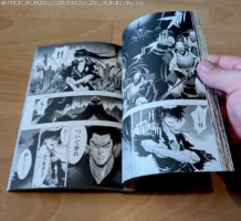Aperçu du tome 12 de Dororo and Hyakkimaru