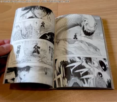 Aperçu du tome 12 de Dororo and Hyakkimaru