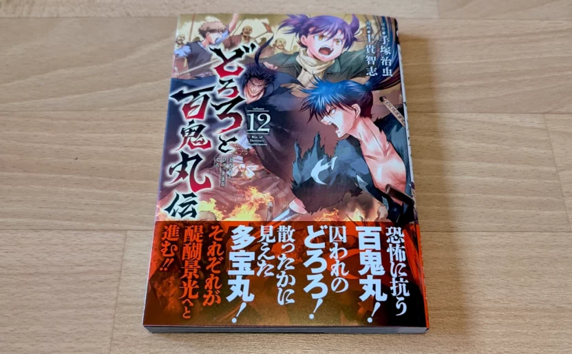 Aperçu du tome 12 de Dororo and Hyakkimaru