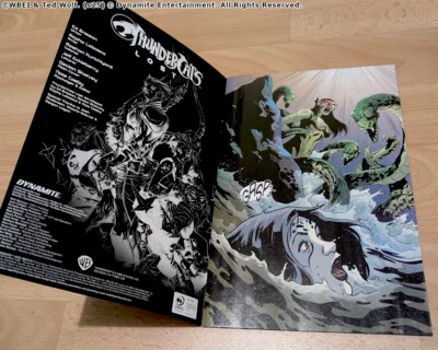 Aperçu du comic book Thundercats Lost